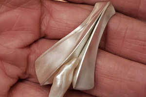 "Flight" -  Form Folded Silver with Fresh Water Pearl